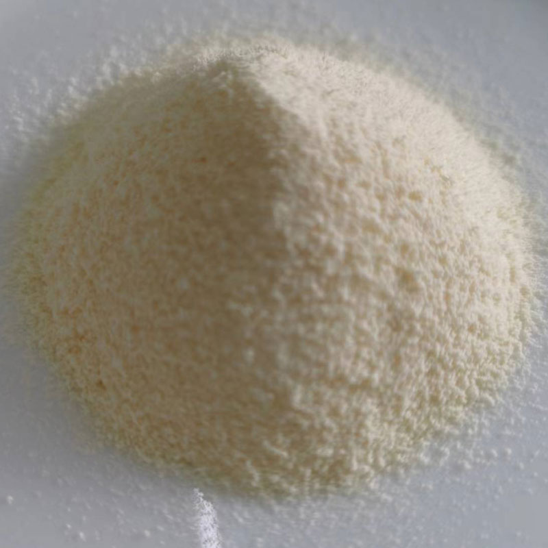 کافی کے لیے بہترین نان ڈیری کریمر کا انتخاب کیسے کریں؟